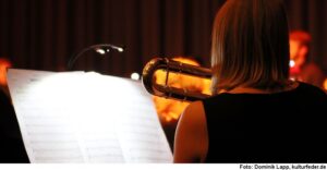 Symbolbild Orchester (Foto: Dominik Lapp)