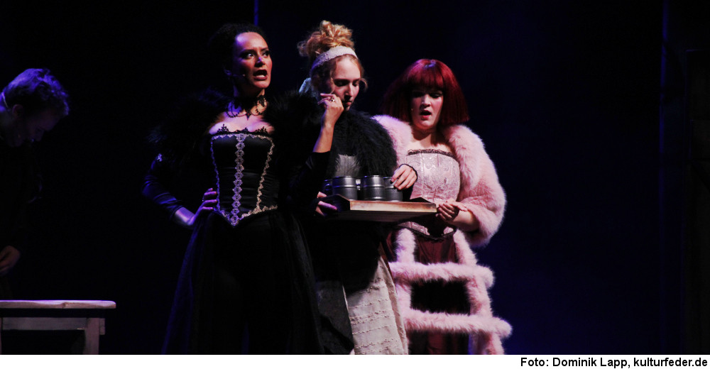 „Drei Haselnüsse für Aschenbrödel“ auf Tour (Foto: Dominik Lapp)