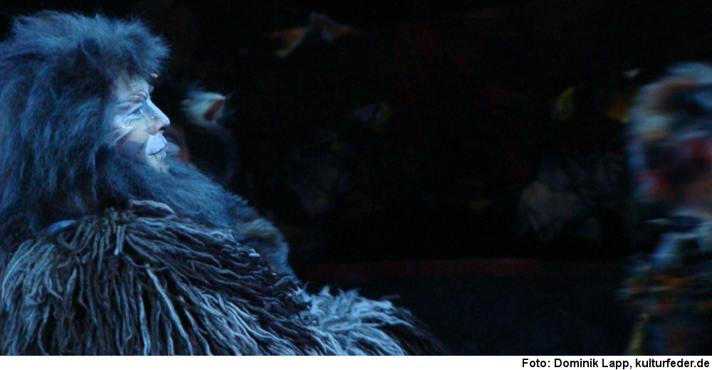 Musical „Cats“ (Foto: Dominik Lapp)