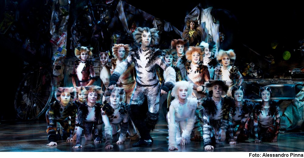 „Cats“ (Foto: Alessandro Pinna)