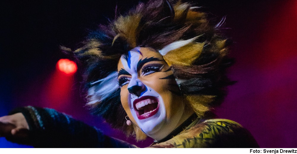 „Cats“ (Foto: Svenja Drewitz)