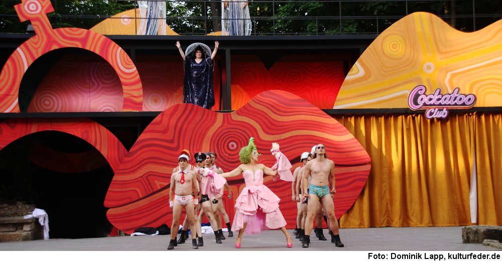 „Priscilla“ in Tecklenburg (Foto: Dominik Lapp)