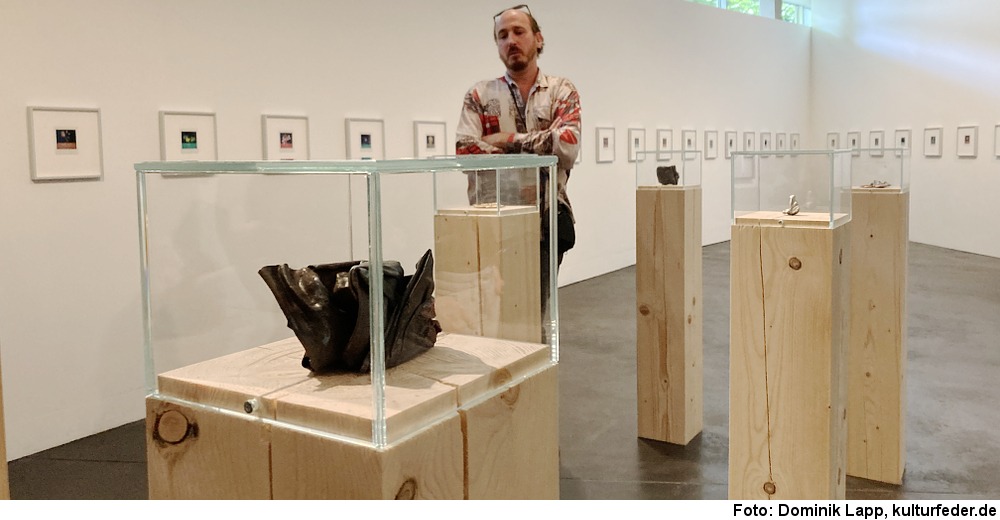 Ausstellung Ariel Reichman in Osnabrück (Foto: Dominik Lapp)