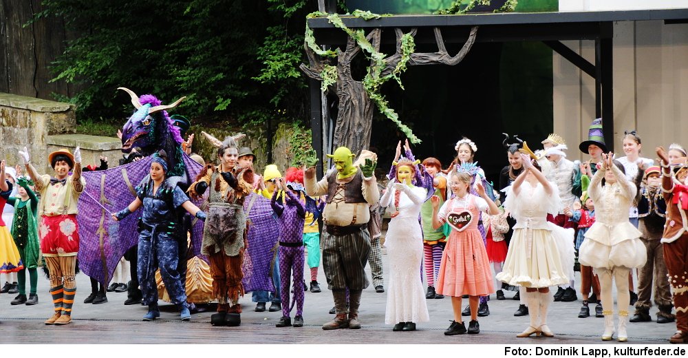 „Shrek“ in Tecklenburg (Foto: Dominik Lapp)