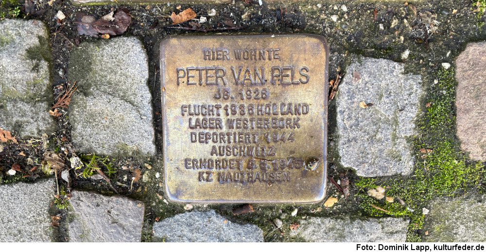 Stolperstein für Peter van Pels in Osnabrück (Foto: Dominik Lapp)